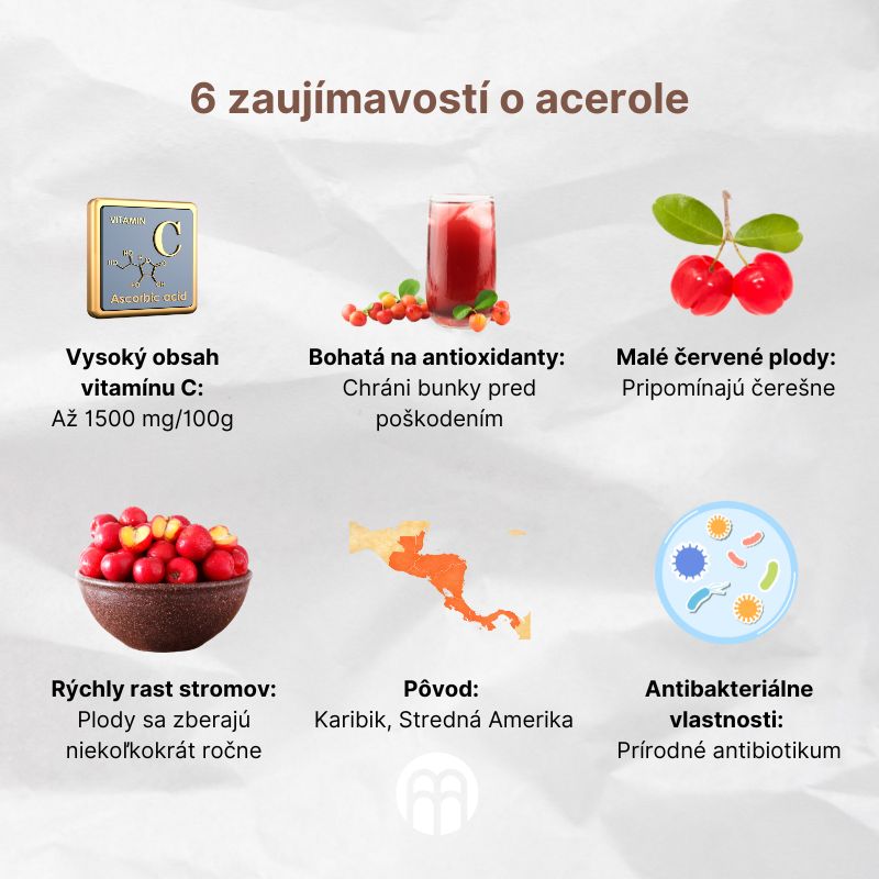 (Slovenčina) 6 zajímavostí o acerole